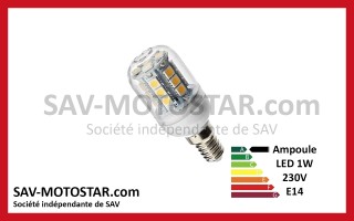 Ampoule LED 230V 1W E14